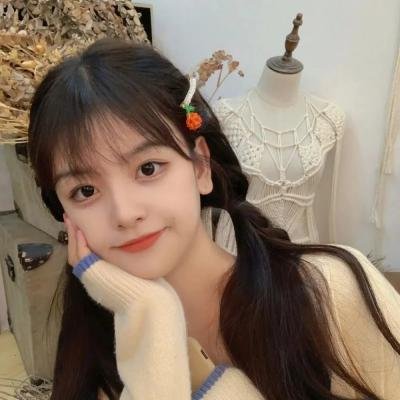 了解你的敌人日本